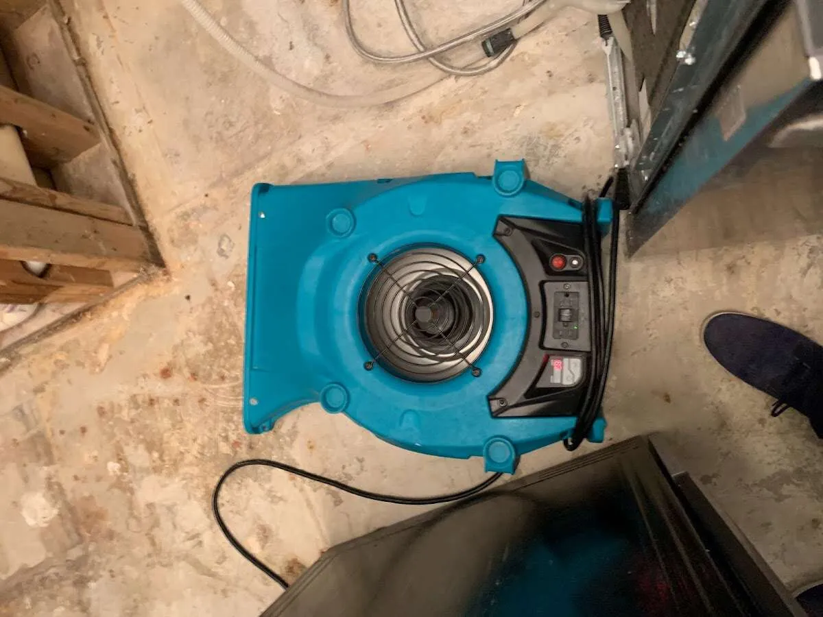 Air mover drying equipment for Mold Remediation & Removal in Robbinsdale
