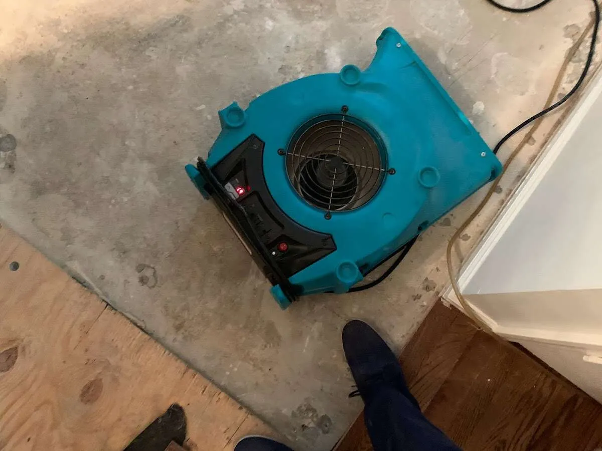 Air mover drying subfloor during Leak Detection & Repair in Robbinsdale
